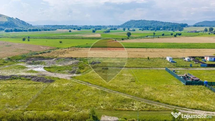 Teren 1400 mp intravilan Bod/ DE VANZARE! - 5