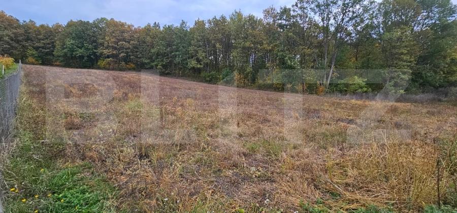 Teren Construcții intravilan de 2882 mp, în Bejan