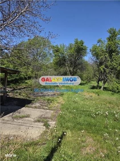 Spațiu comercial, în Călinești