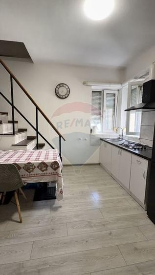 Apartament parter si mansarda curte proprie str. Paltinis - 2