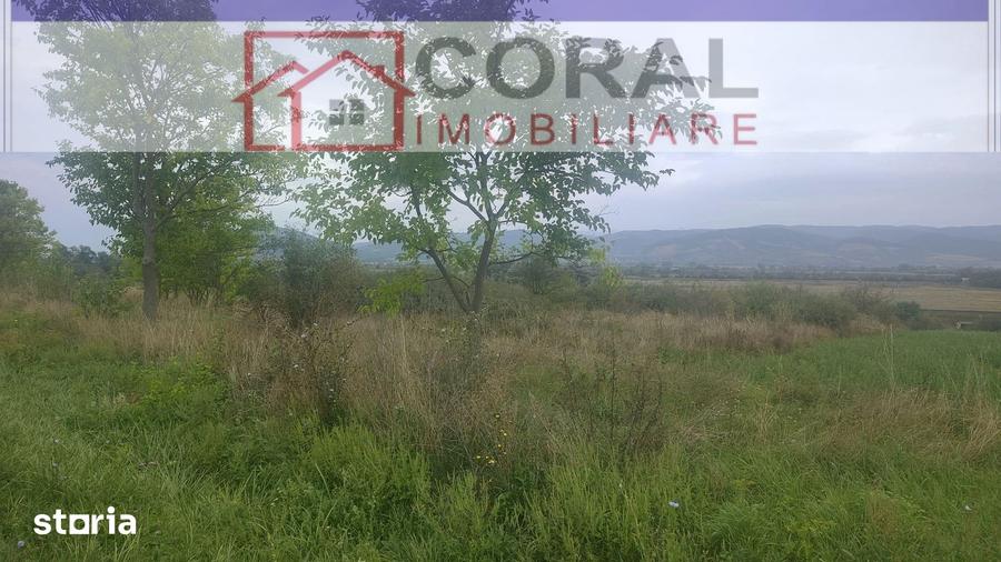 Teren de 7368 mp, în Turdaș