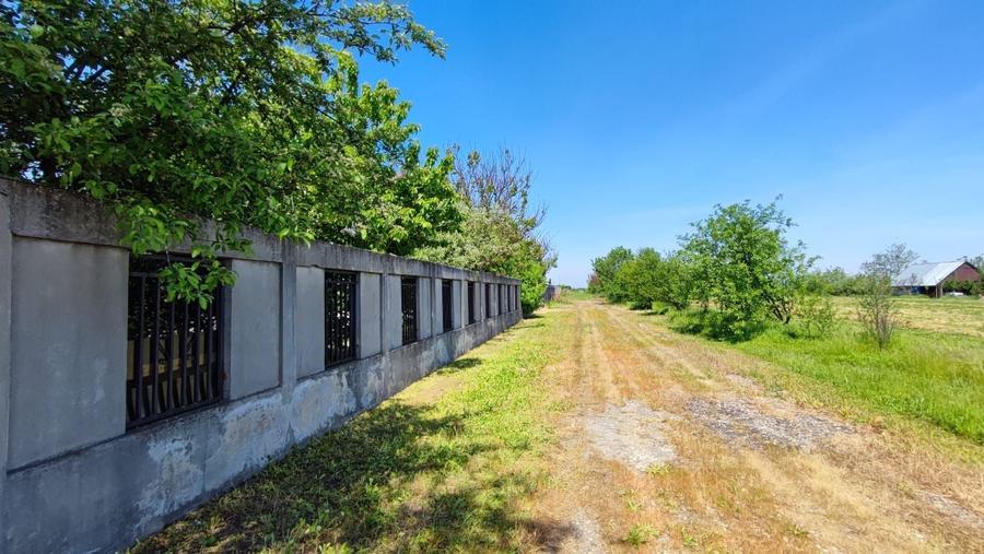 Teren Construcții intravilan de 3000 mp, în Domnești