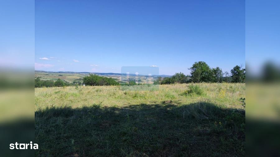 Teren de 72000 mp, în Sânpaul
