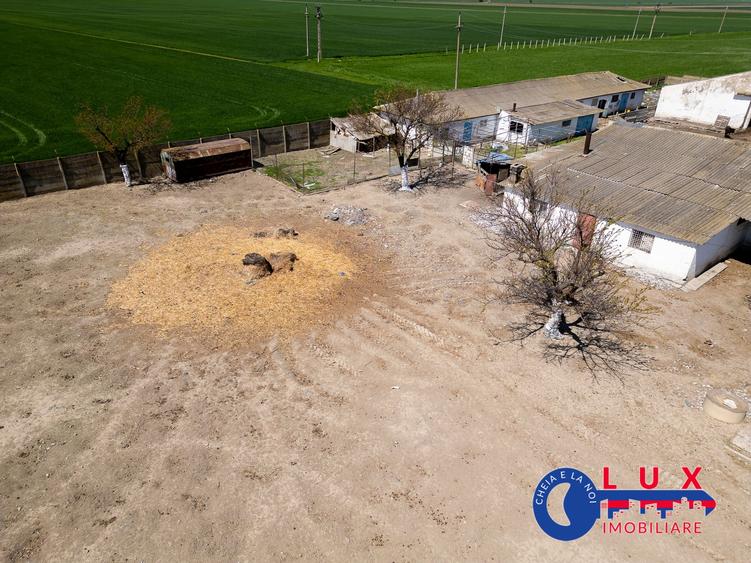 Teren agricol intravilan de 11532 mp, în Mihail Kogălniceanu