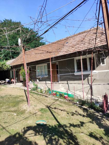 Casă cu 3 camere cu Teren 30000 Mp în Săliștea