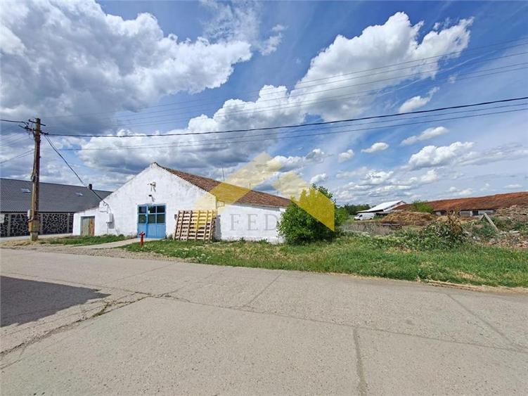 Spațiu industrial, de 750 mp, în Șofronea