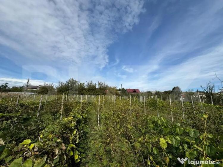 Teren intravilan, livada mixta cu anexa, Preutesti Suceava - 2