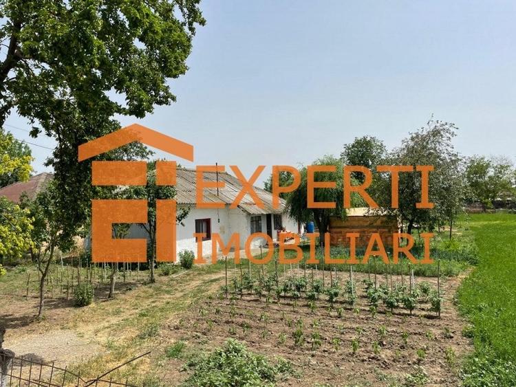 Teren Construcții intravilan de 2581 mp, în Mihail Kogălniceanu