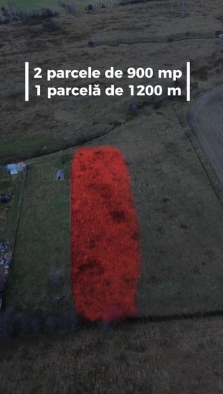 Teren agricol intravilan de 900 mp, în Tohanu Nou