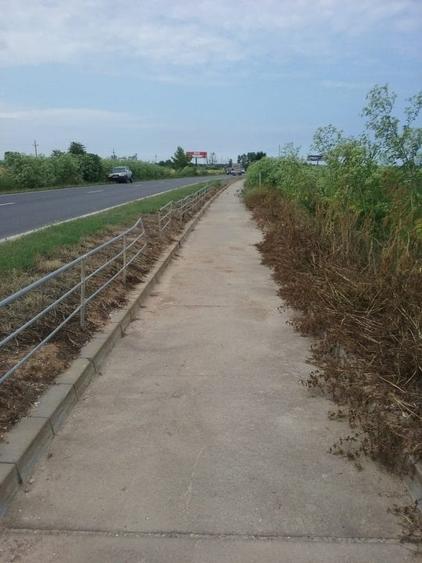 Teren Construcții intravilan de 4000 mp, în Sud