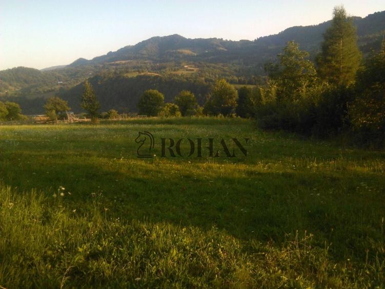 Teren intravilan de 5360 mp, în Tiha Bârgăului