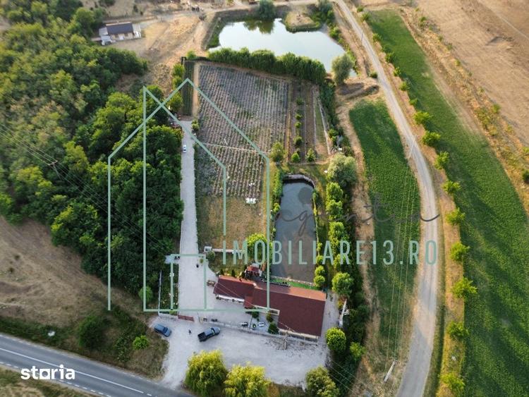 Domeniu, Afacere de vanzare, Sebes, Alba, balta pescuit, ferma lavanda - 2