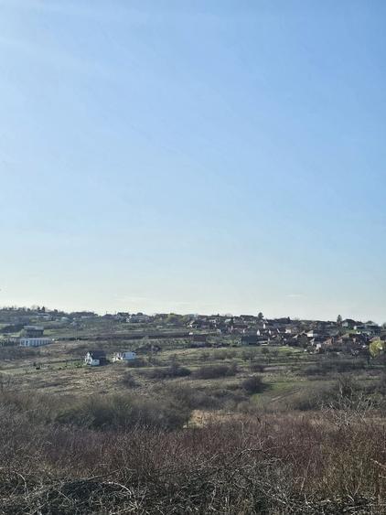 Teren agricol intravilan de 850 mp, în Săldăbagiu de Munte
