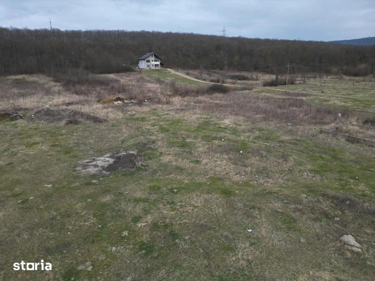 Teren de 3500 mp, în Ciurea