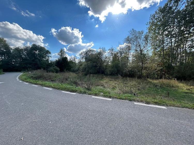 Teren loc de casa in Vadu Moldovei - 6