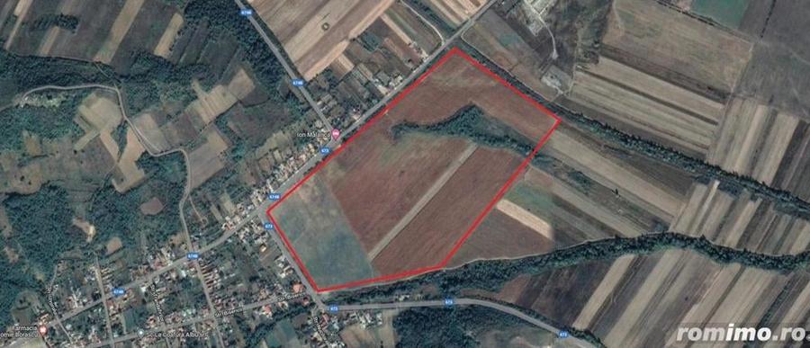 Teren de 500000 mp, în Borăscu