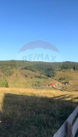 Teren agricol extravilan de 4914 mp, în Giurcuța de Sus