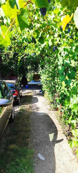 Casă cu 2 camere cu Teren 859 Mp în Bulbucata