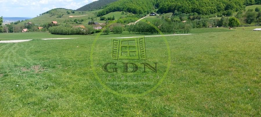 Teren agricol extravilan de 1704 mp, în Gura Râului
