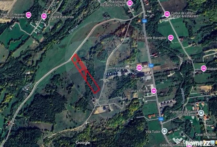 Teren Rasnov, Valea Panicelului 4253mp, izvor pe teren - 3