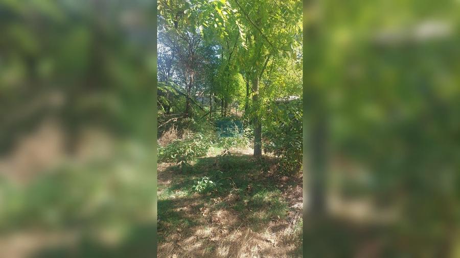 Casă cu 3 camere cu Teren 1700 Mp în Găujani