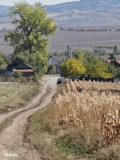Teren de construit in zona rurala, acces asfaltat