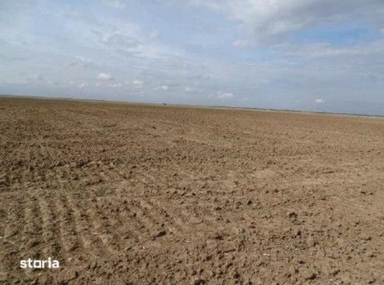 Teren de 5800 mp, în Scurtu Mare