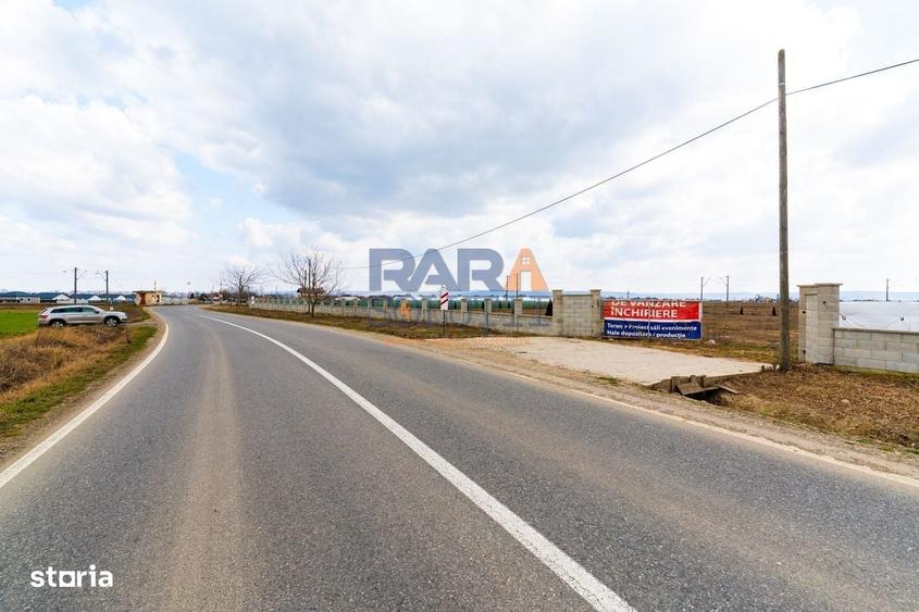 Spațiu comercial, în Horia