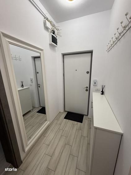 Apartament cu 2 camere, mobilat în Viile Noi