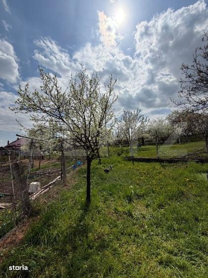 Casă cu 2 camere în Copăceni