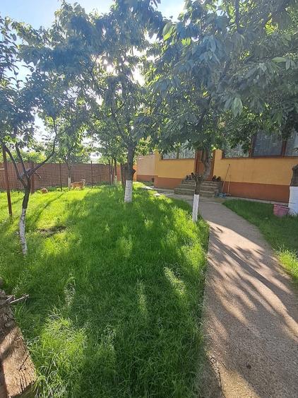 Casă cu Teren 1216 Mp în Tomești
