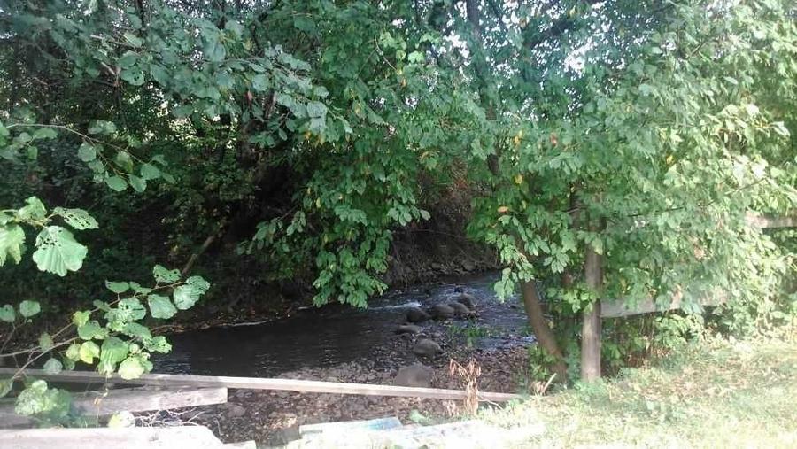 Casă cu 3 camere în Eremitu