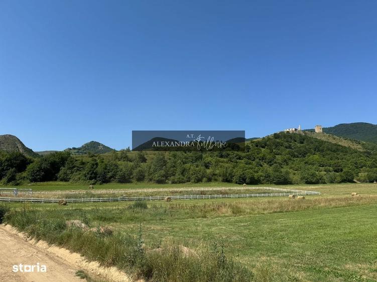 Spațiu comercial, în Heria