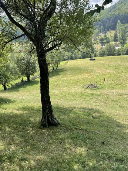 Spațiu comercial, în Vama Buzăului