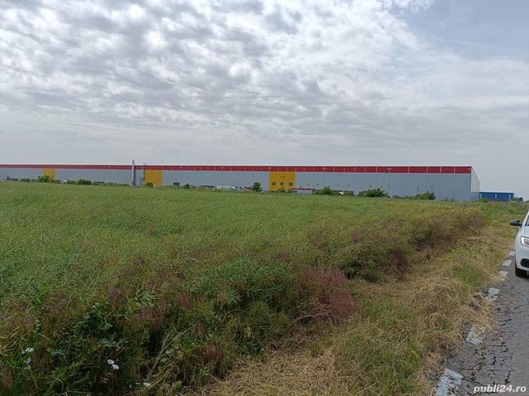 Teren de 4500 mp, în Dragomirești-Deal