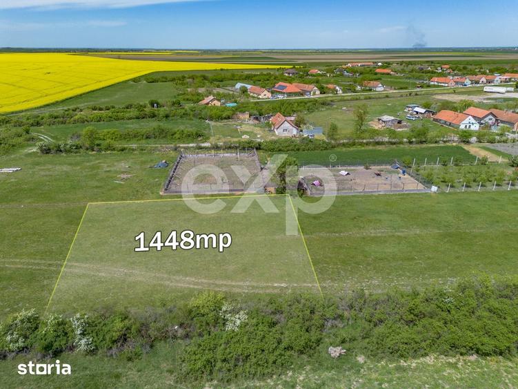 Teren de 1448 mp, în Nițchidorf