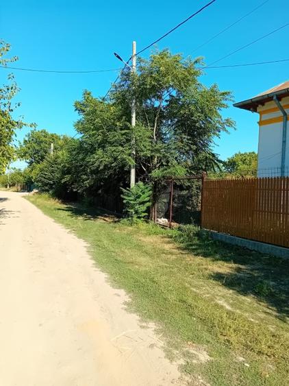 Teren Construcții intravilan de 4000 mp, în Bujoru