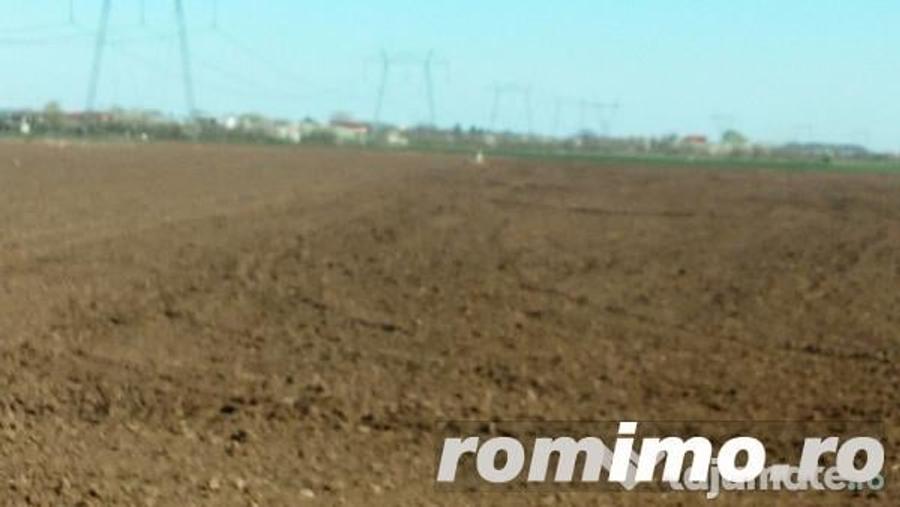 Teren de 2300 mp, în Frumușani