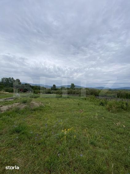 Teren de vanzare, 44000 mp(44 arii), parcelabil - 1