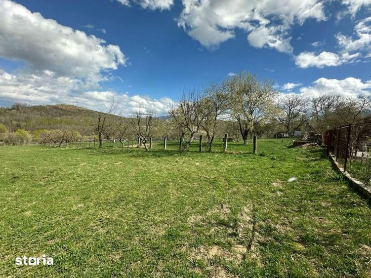 Teren de 4000 mp, în Central