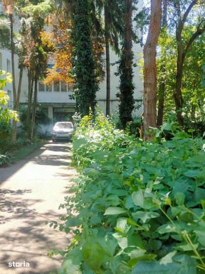 Apartament cu 2 camere confort I, etaj 2, cu geam la baie, in Plopilor - 3