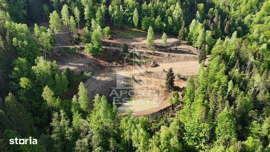 Teren de 18000 mp, în Central