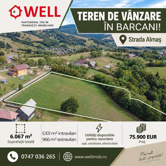 Teren Construcții intravilan de 6067 mp, în Barcani