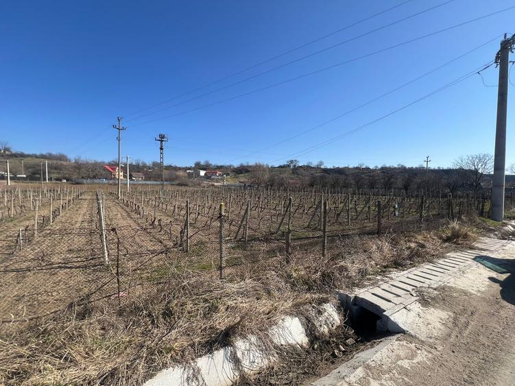 Teren intravilan de 2700 mp, în Movilița
