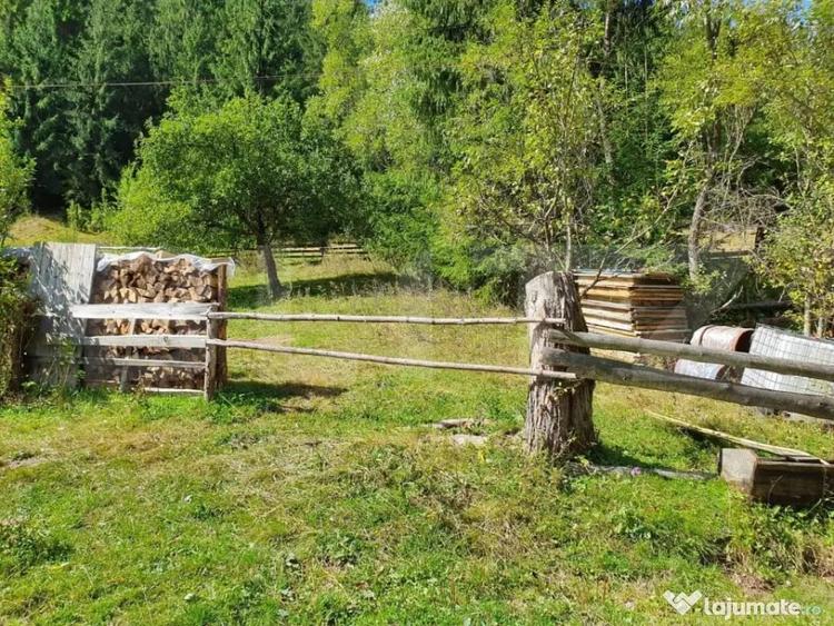 Teren de 3015 mp, în Arieșeni