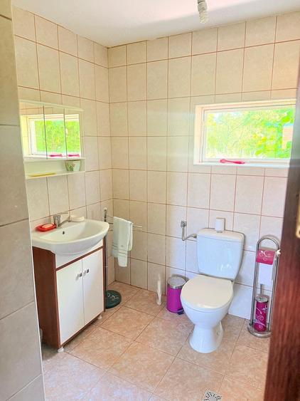 Casă cu 3 camere cu Teren 6400 Mp în Dealu Lăunele