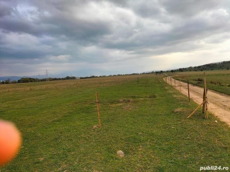 Teren de 600 mp, în Central