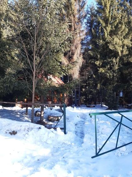 Teren intravilan de 1600 mp, în Arieșeni