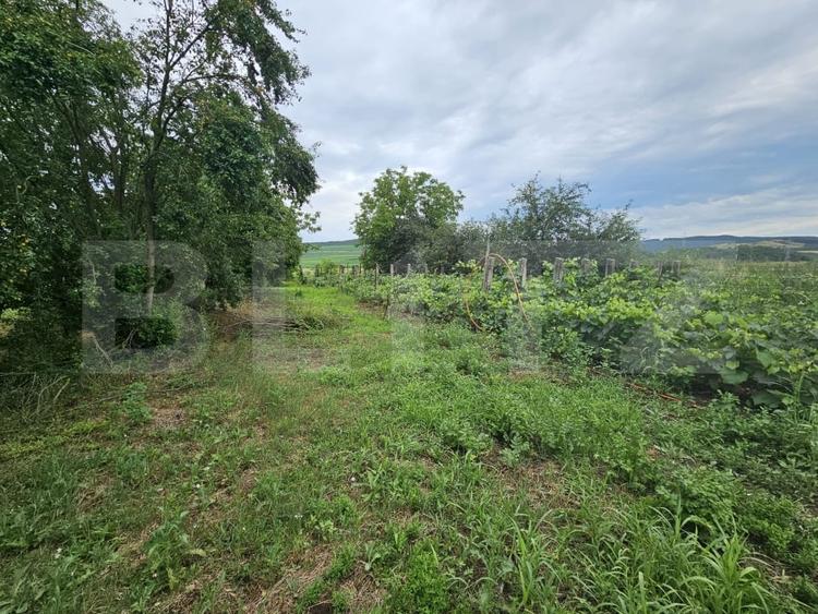 Casă individuală cu 3 camere cu Teren 2698 Mp în Ocna Mureș