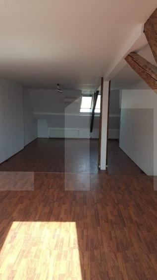 Spatiu in Piata Unirii cu potential pentru investitie - 4